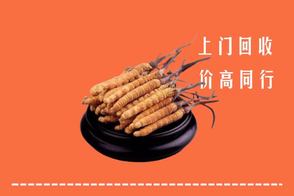 高价求购：向阳区回收散虫草