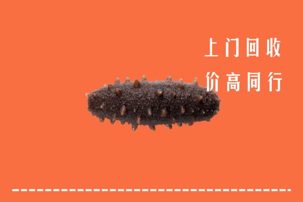 高价求购：向阳区回收海参