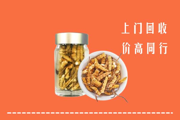 收购行情：向阳区回收冬虫夏草
