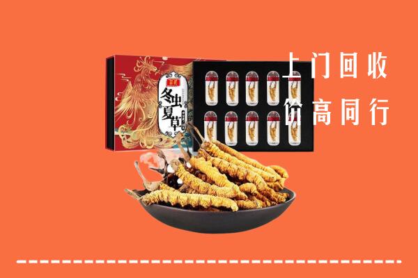 收购行情：向阳区回收虫草